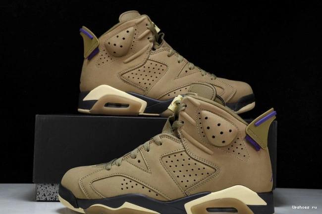 6 Retro FD1643-300  Brown Gore-Tex Kelp Jordan 0807